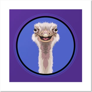 Ostrich Circle Posters and Art